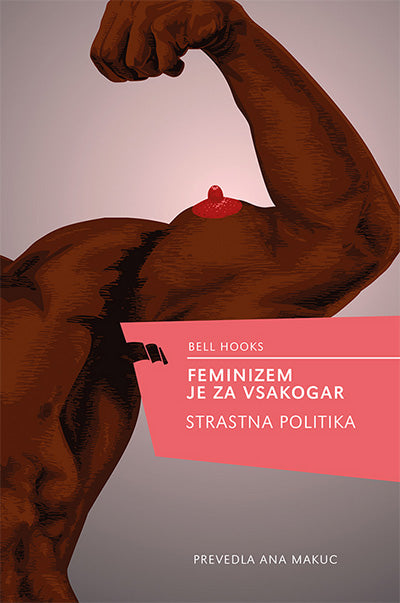Feminizem je za vsakogar: strastna politika