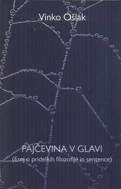 Pajčevina v glavi: esej o pridelkih filozofije in sentence