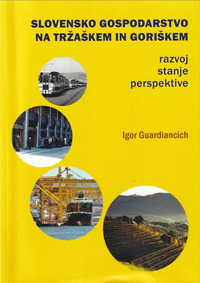 Slovensko gospodarstvo na Tržaškem in Goriškem: razvoj, stanje, perspektive