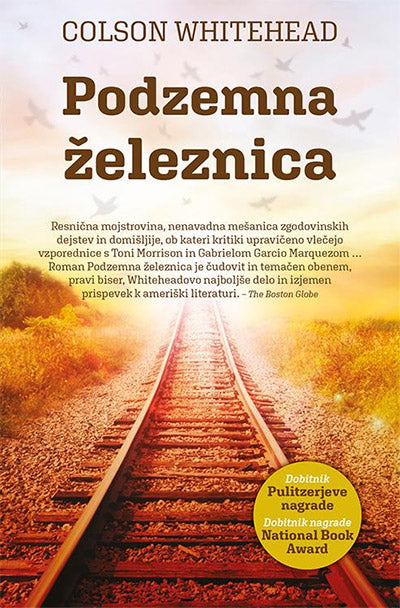 Podzemna železnica