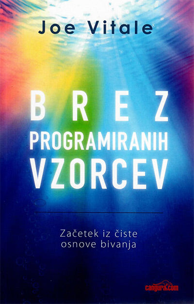 Brez programiranih vzorcev: začetek iz čiste osnove bivanja
