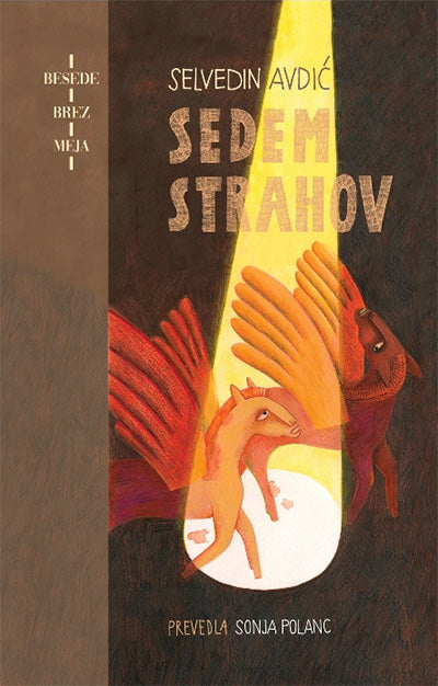 Sedem strahov