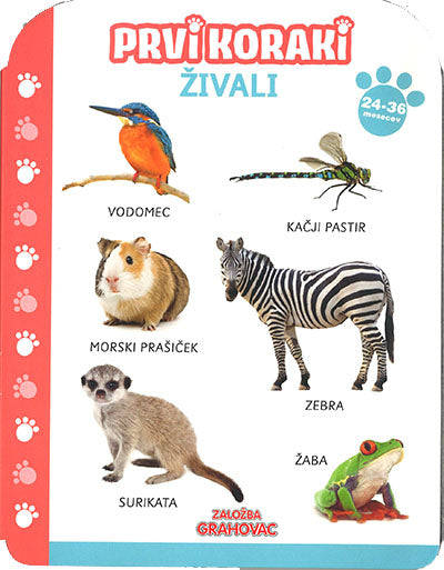 Prvi koraki. Živali (24-36 mesecev)