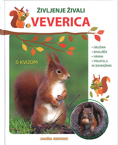 Veverica