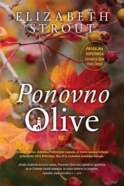 Ponovno Olive (Olive Kitteridge, 2. knjiga)