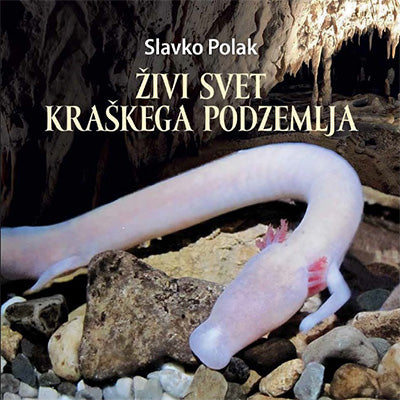 Živi svet kraškega podzemlja