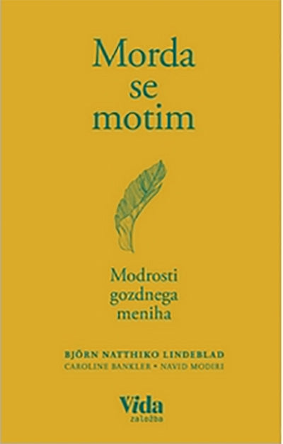 Morda se motim: modrosti gozdnega meniha