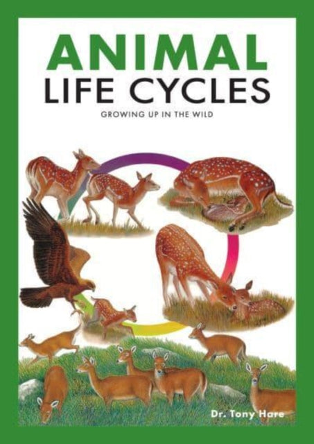 Animal Life Cycles - Discovering How Animals Live in the Wild