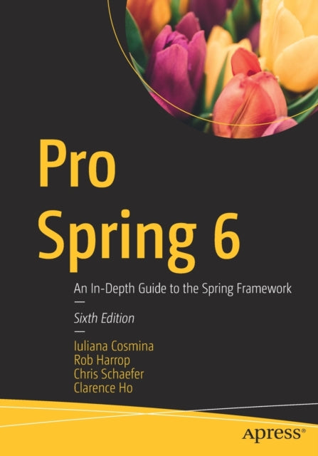 Pro Spring 6