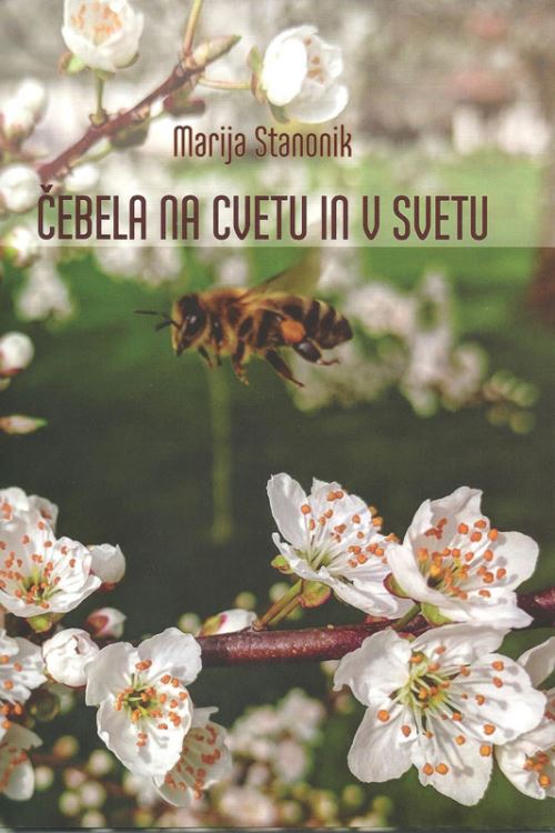 Čebela na cvetu in v svetu