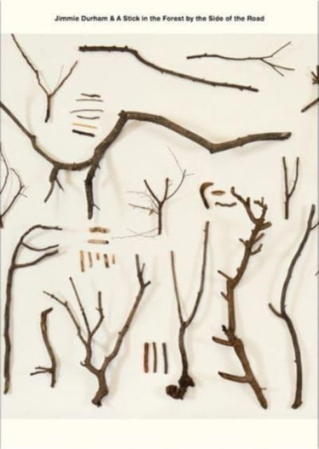 Jimmie Durham & A Stick in the Forest by the Side of the Road