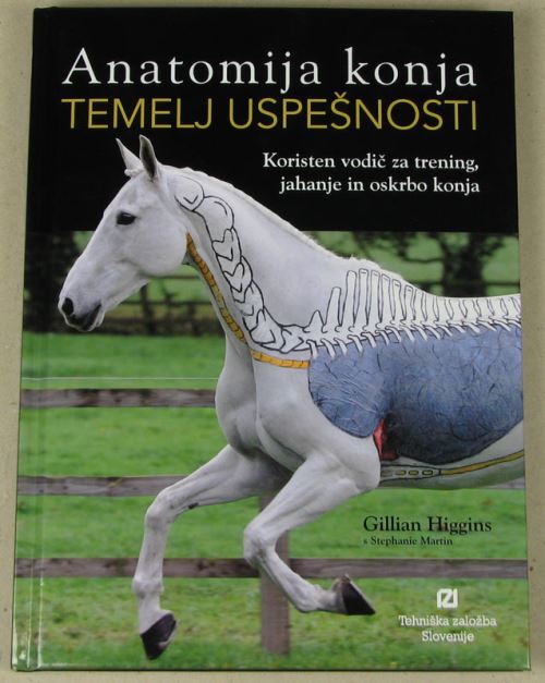 Anatomija konja - Temelj uspešnosti