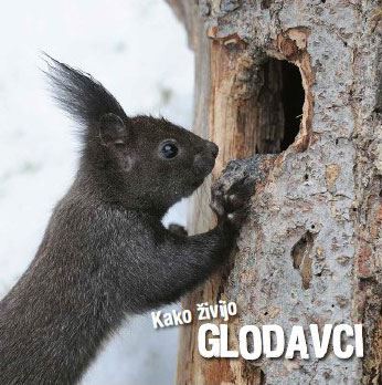 KAKO ŽIVIJO GLODAVCI