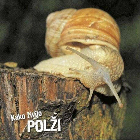 Kako živijo polži