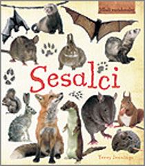 Mladi raziskovalec – Sesalci