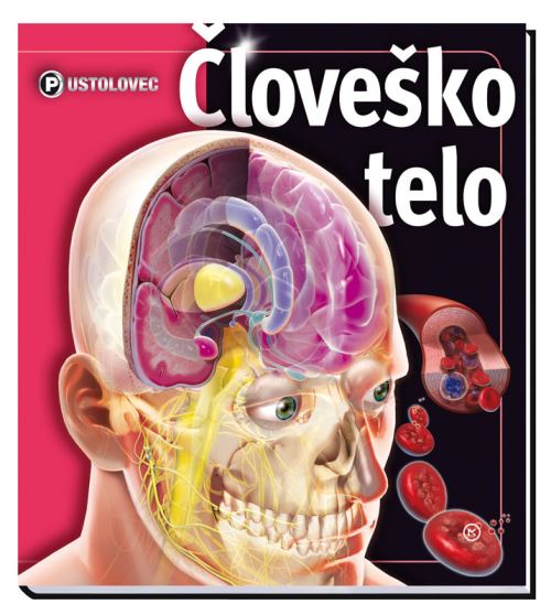PUSTOLOVEC - ČLOVEŠKO TELO
