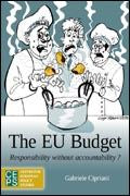 Eu Budget: Responsibility Without Accountability?