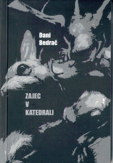 ZAJEC V KATEDRALI